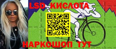 ешки Камышлов