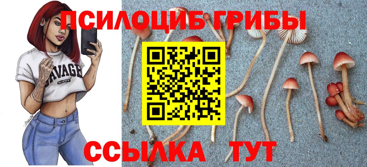 Псилоцибиновые грибы прущие грибы Копейск
