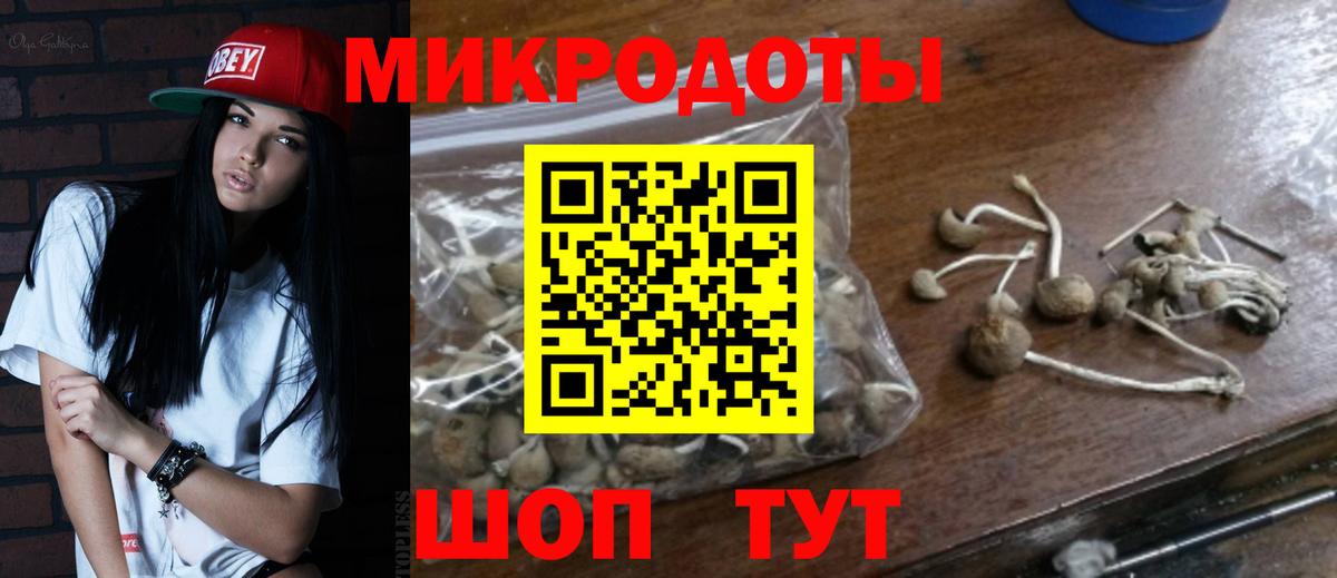 Копейск  Псилоцибиновые грибы MAGIC MUSHROOMS  где можно купить наркотик  Вход с VPN 
